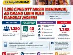 BKD NTT-CPNS NTT